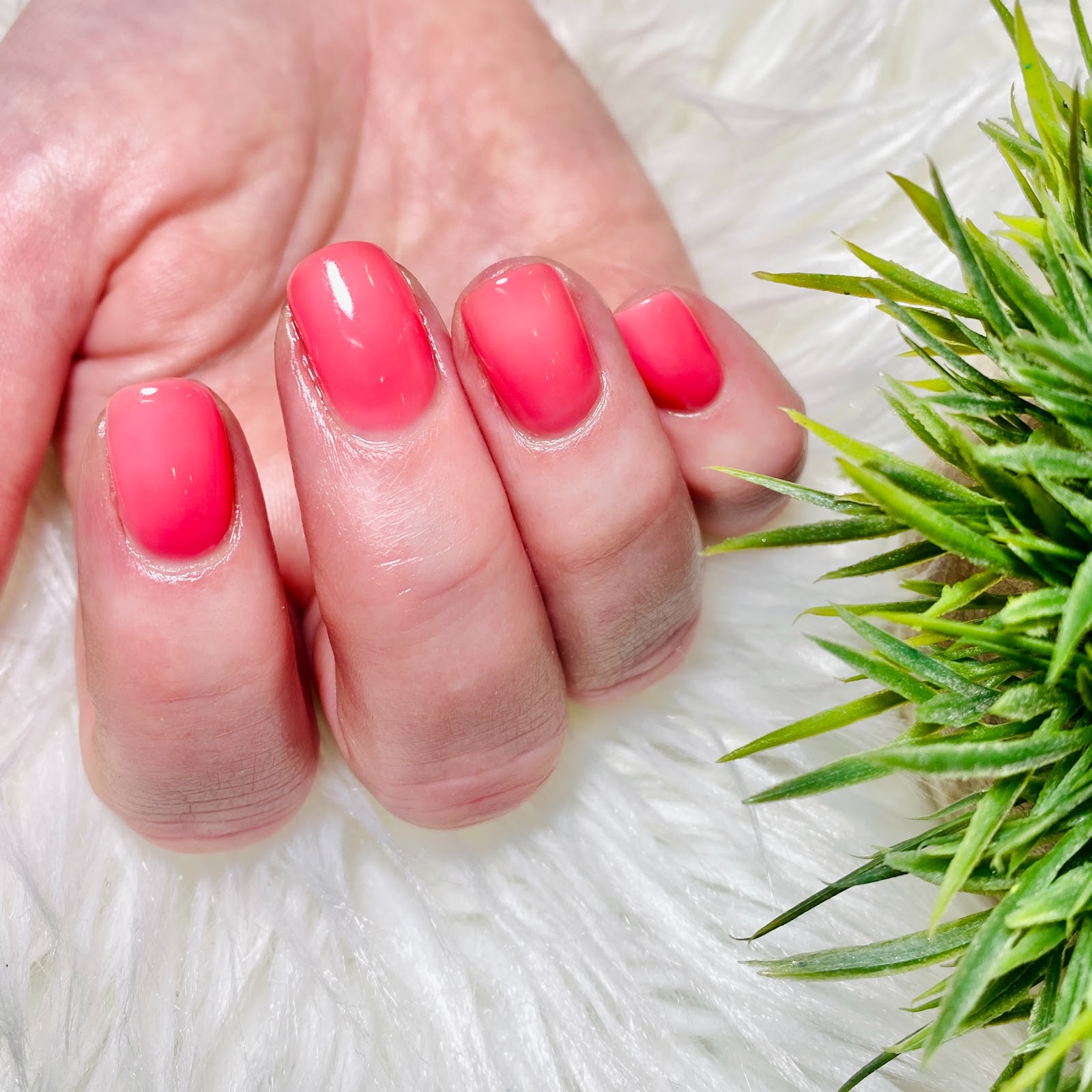 SahLan Nails & Spa nail photo 7